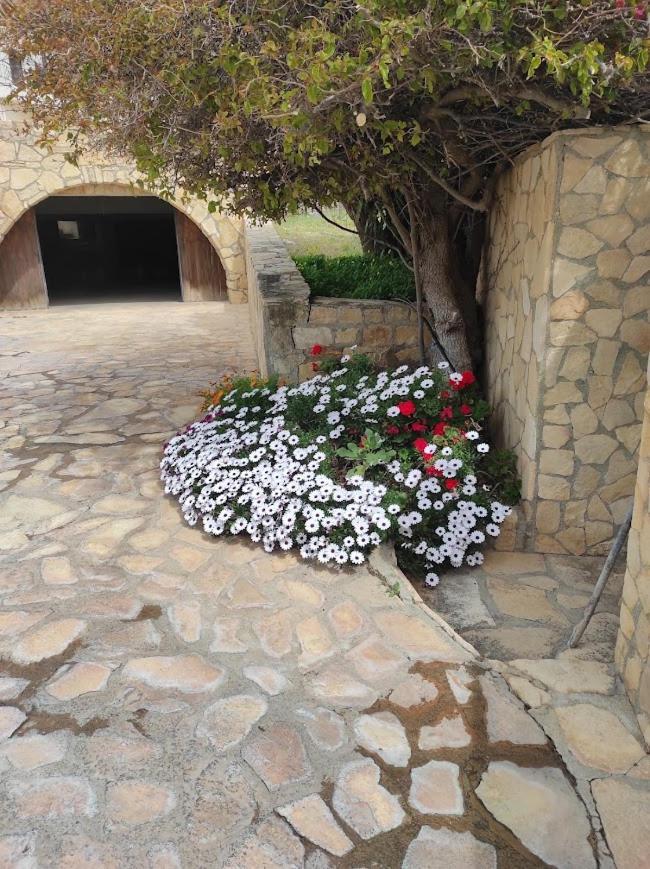 Island Villa Agia Galini Exterior foto